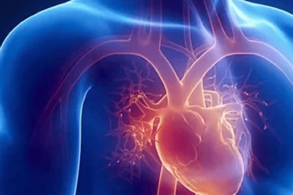 kya-hai-angioplasty-aur-sarjaree-ke-lie-kaunasa-aspataal-hai-sabase-best-jaanen-pooree-ditel