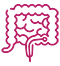 Colonoscopy