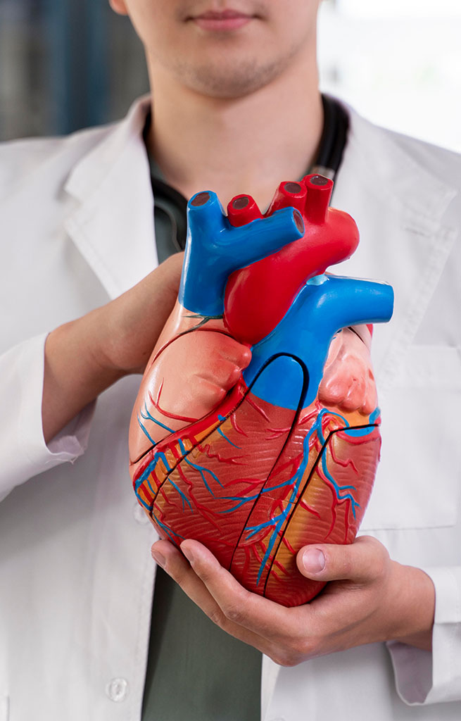 Why Choose Ujala Cygnus Hospitals for Heart Valve Replacement Surgery
