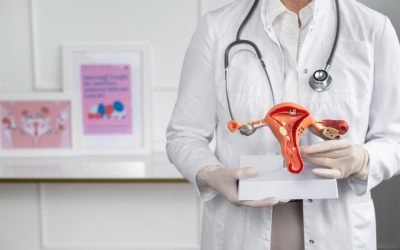 a-comprehensive-guide-to-understanding-womens-reproductive-system-diseases