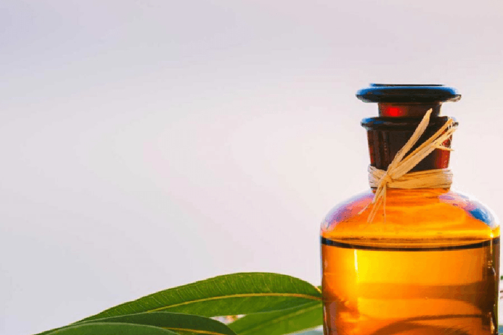 eucalyptus-oil-in-hindi