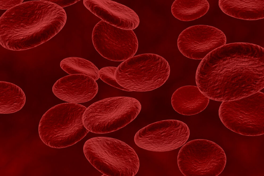hemophilia-meaning-in-hindi-hemophilia-causes-symptoms-and-treatment