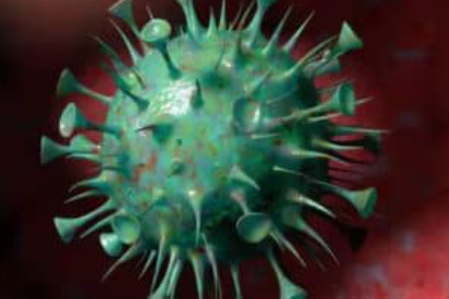 How Deadly Is H3N2 Flu Compared To Covid-19? Is It Likely To Cause A Pandemic In India? Here’s What Experts Say