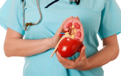 How to Check Kidney Function at Home: A Comprehensive Guide