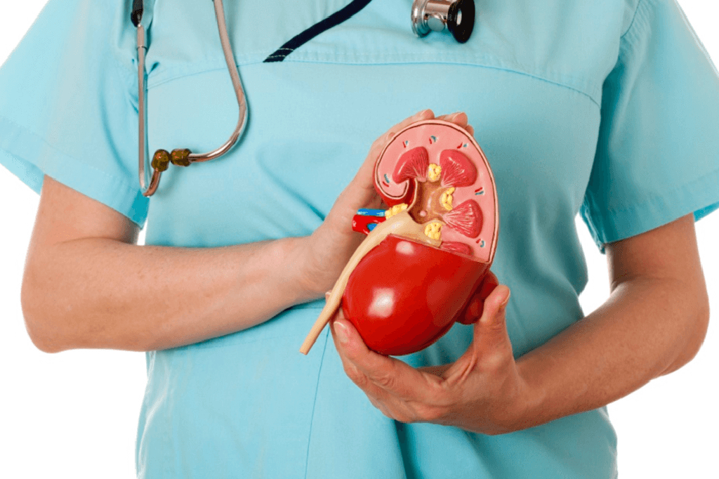 How to Check Kidney Function at Home: A Comprehensive Guide