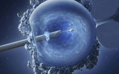 IVF तकनीक द्वारा अपने ही एग और स्पर्म से बन सकते हैं पेरेंट्स