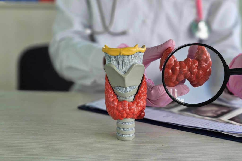 Persistent Fatigue, Weight Gain, or Hair Loss—Is It Just Stress, or Is It Thyroid?
