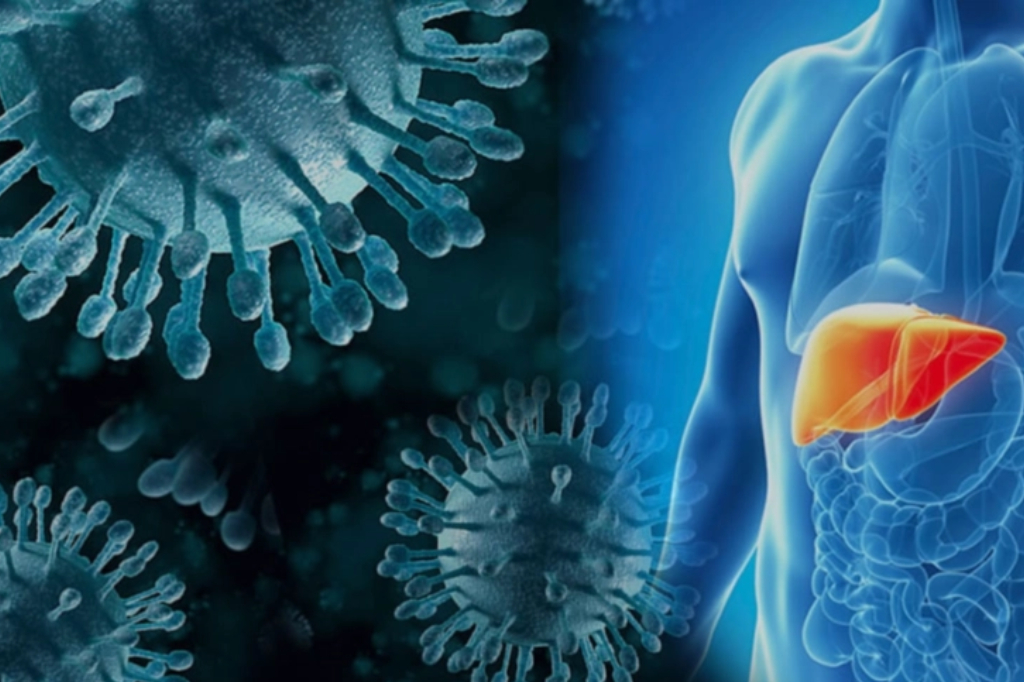 what-is-hepatitis-and-hepatitis-treatment-in-hindi