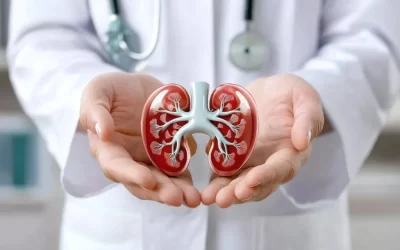 How-to-Check-Kidney-Function-at-Home-A-Comprehensive-Guide.